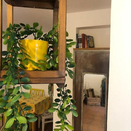 Country Flat Maria Apartment Evropouloi Bagian luar foto