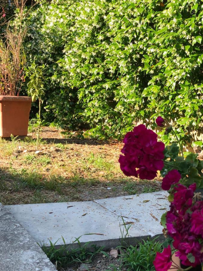 Country Flat Maria Apartment Evropouloi Bagian luar foto